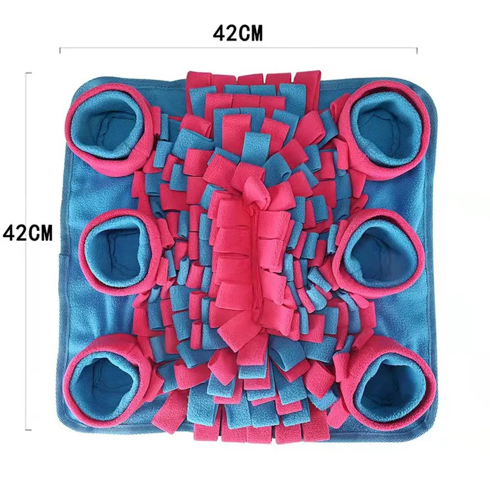 47250480726289